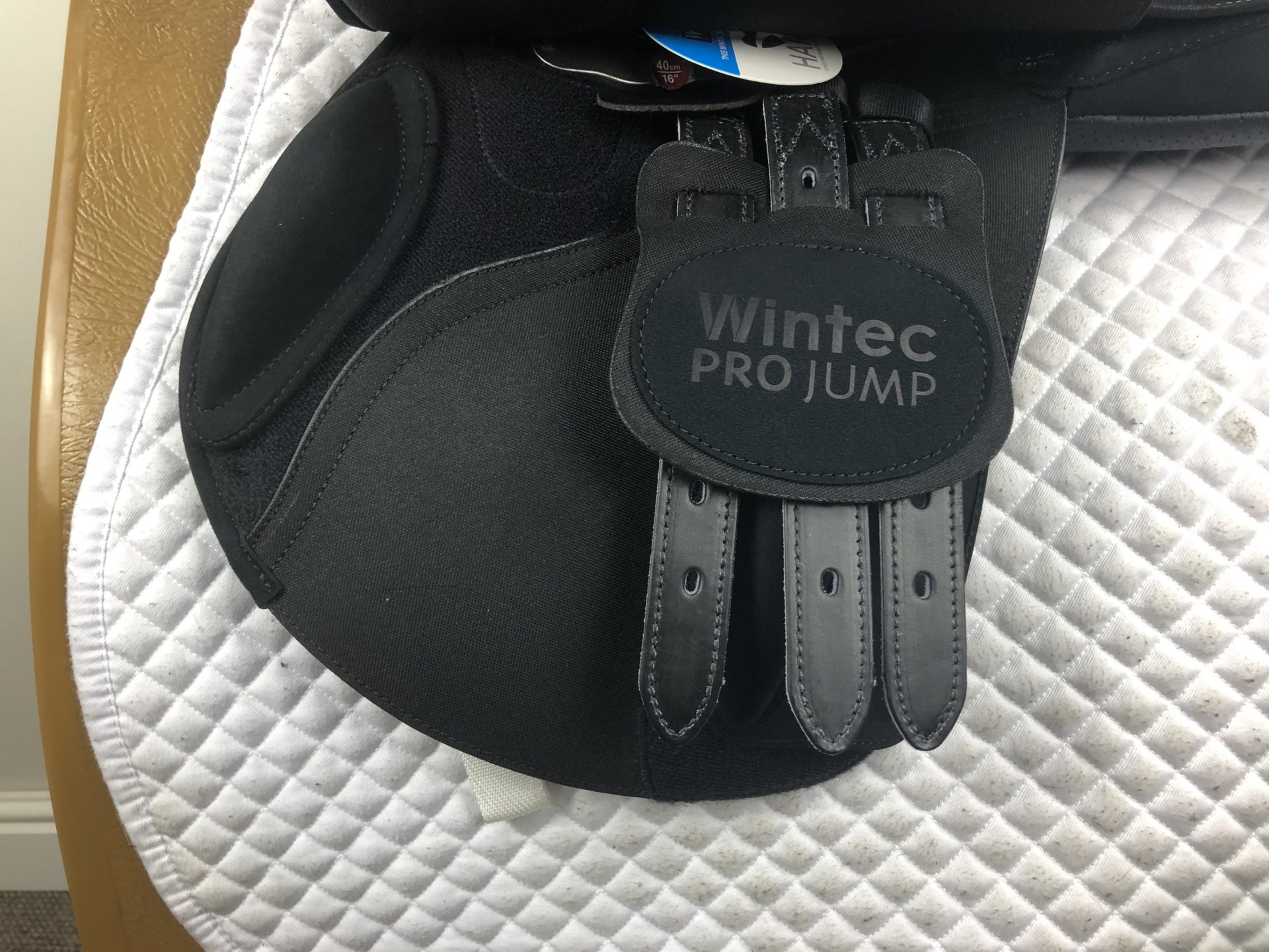 Wintec Pro Pony Jump Saddle Adjustable The Saddle Bank