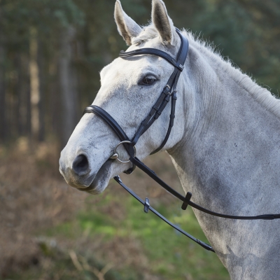 Image of GFS Simplicity Cavesson Bridle